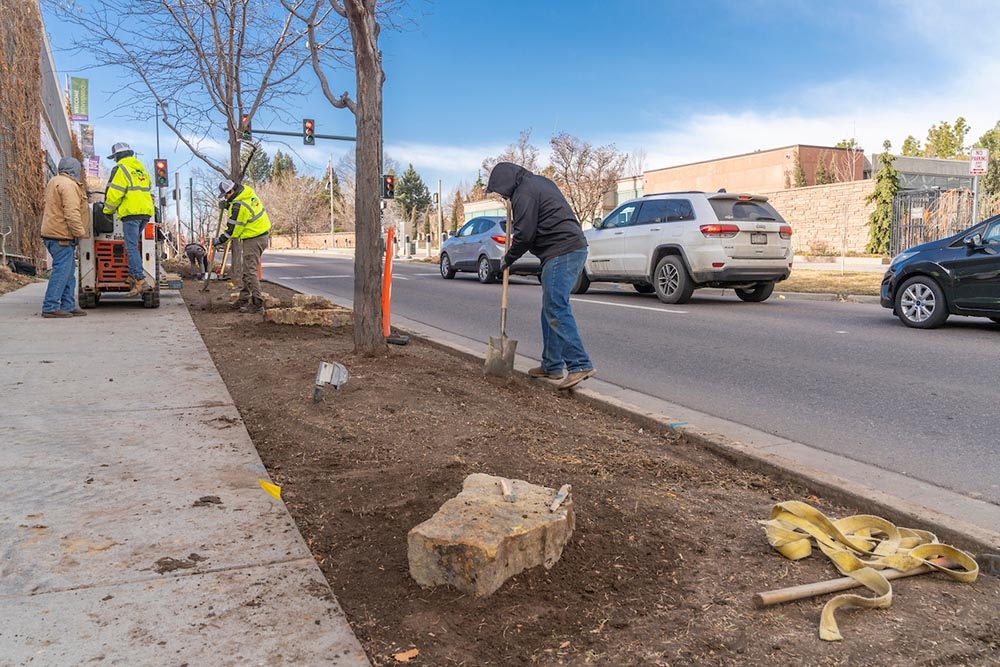 york-street-turf-replacement-project-denver-botanic-gardens